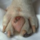 강앤정 동물병원 이미지