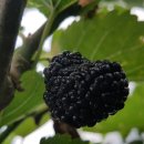 목섬농장 이미지