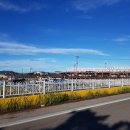 선두5리항 이미지