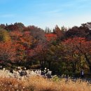 남산공원 이미지