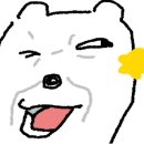 궁전해물칼국수천안