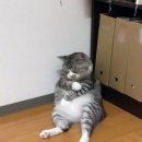 남다른재활의학과의원 이미지