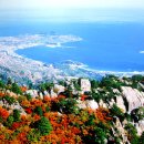 금강산 - 고령군 주산길 7 | 금강산