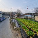 사정2동 이미지