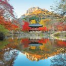 단풍스테이