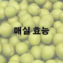 매실 효능 및 효과 보관법 이미지