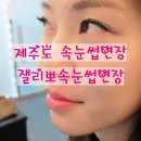 잴리뽀 속눈썹