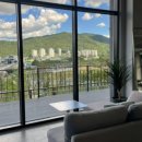 그래티파이 커피 이미지