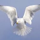 동부그린근린공원1 이미지