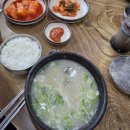 마산설렁탕 - 창원시 성산구 중앙대로83번길 14 | 마산 교방동 맛집 한양설렁탕 내돈내산 후기