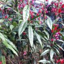 모산조형미술관 이미지