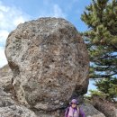 봄무인텔 이미지