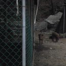 마루펜션 이미지