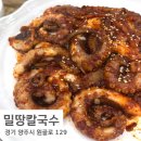 원골로 | 또또또간집 하고싶은 양주 밀땅칼국수 후기