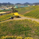 선도식당 이미지