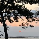 지즐미육회관목포하당점 이미지