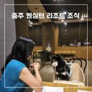 CU충주신용산점 | 충주 켄싱턴리조트 조식 솔직리뷰 | 애견동반은 좋지만 아쉬운 뷔페구성