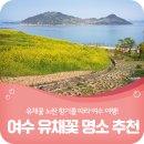 신길광장공원교차로 신동아파밀리에 건설현장 앞 교통섬 | 전남 여수 유채꽃 명소 추천! 반월마을, 하화도 노란 향기를 따라서