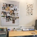 펫츠토리 | [애견수제간식 전문점]펫츠토리 방문 후기