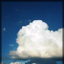 참좋은세상 이미지