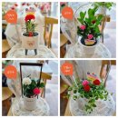 꽃집 릴리안 이미지