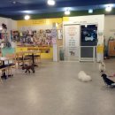 퍼피해븐 이미지