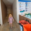 더 글라스 대인점 | 오키나와 여행 2일차) 카리유시비치 글라스보트 가격,시간,할인쿠폰 안내