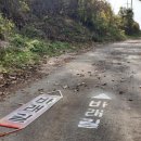 다숲민박 이미지