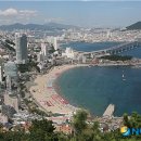 송도해수욕장 이미지