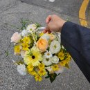 꽃도좋고너도좋고