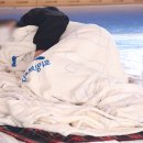 길안중학교 이미지