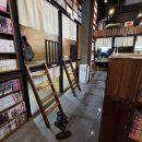 시장PC플러스 | [홍대] 홍대 24시 만화카페 추천 홍대놀거리 :: 카툰플러스 만화카페