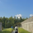 피지오컴퍼니 | 전주) 8.23 당일치기 뮤지컬 여행 :)