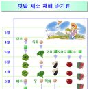 순기농장 Daum카페
