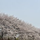 양천구 견인차량보관소 네이버블로그