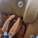 우리향균세탁소 이미지