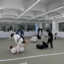 부영체육관 | 오아시스주짓수🌴 2025년을 마무리하며 | 연말 | 체육관 일상 | 시합후기 | 여수운동 | 취미 | 실내운동