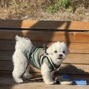 우진어린이집 | 자신감 있게 하세요 자신감 있게