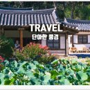 종오정 | 경주 종오정 마을 구석에 숨어 있는 배롱나무와 연꽃