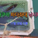 아쿠아 좌대낚시터 이미지