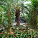 그린타워 이미지