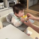 11500-19-70-06 | [육아일기] #06_시판이유식 시작, 한우토핑도 베이비본죽 시판으로! 업체 및 체험팩 신청방법(베베쿡...