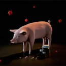 이 가축병원 이미지