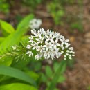 운주산승마자연휴양림 이미지