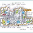 김포한강어린이집 이미지