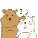 오늘쉐프일산 이미지