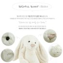 크림버니 이미지