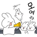 인제시민닭갈비 이미지