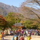 만추 - 달성군 테크노상업로4길 17-1 | 만추