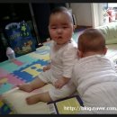 해피랜드 파코라반 이미지